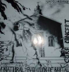 Umigliazione : Core Concept